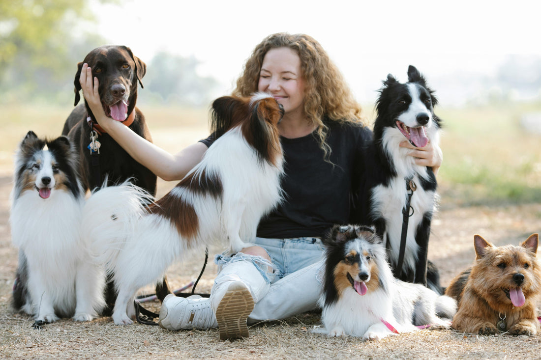 🐶 Köpeklerde Sosyalizasyon: Diğer Köpekler ve İnsanlarla Uyum 🐕‍🦺🐾