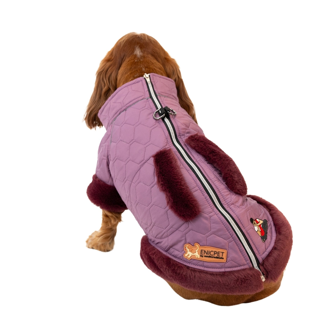 ENICPET™ Premium Köpek Montu (Mürdüm) - Enicpet Premium Store